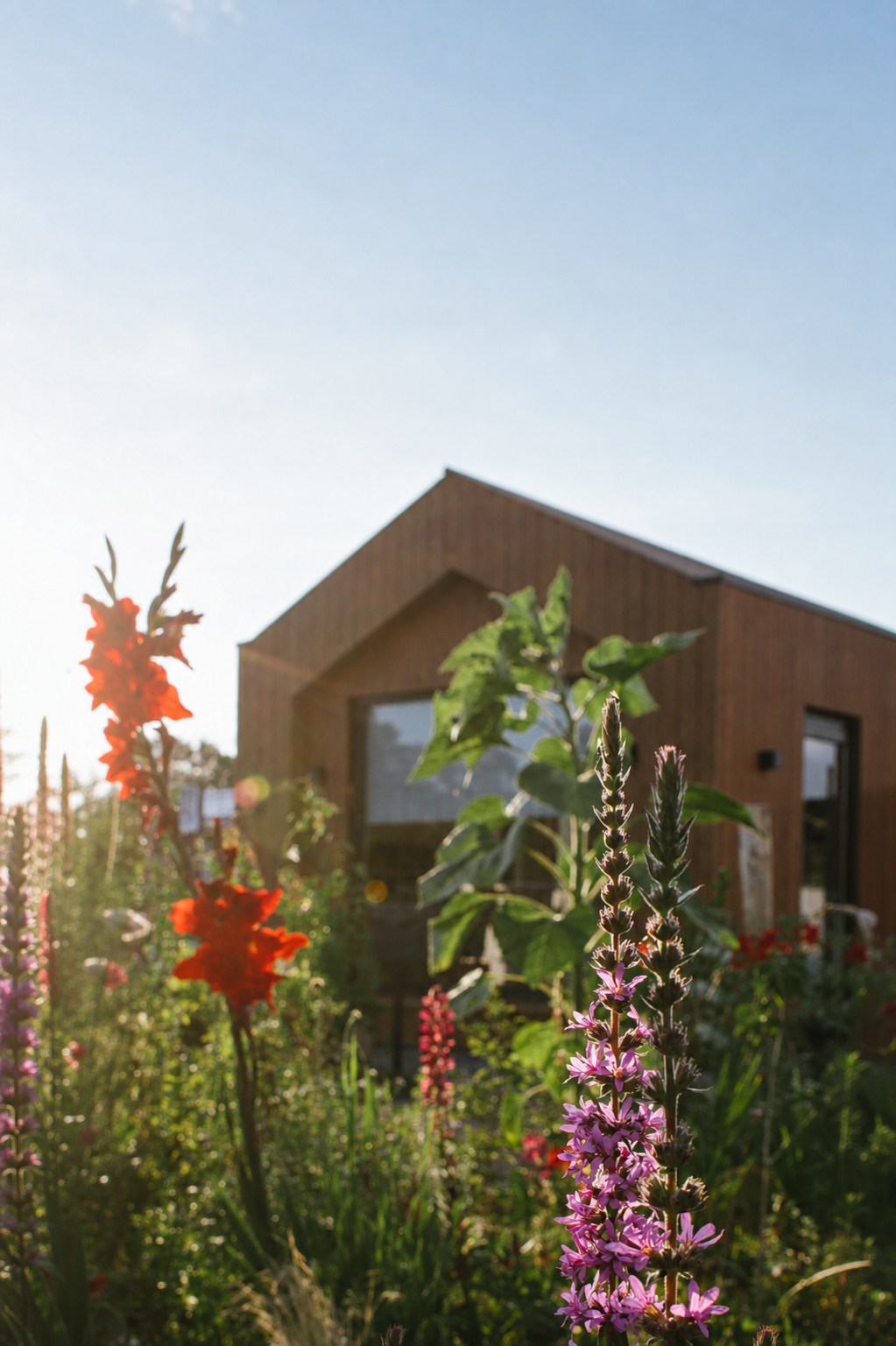 Bloeiende tuin voor een tiny house in Dinkelland